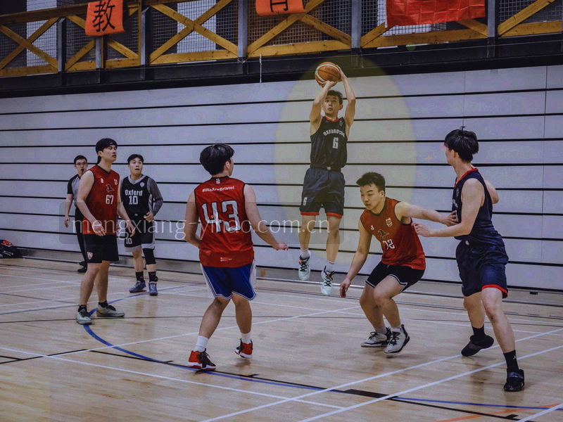 壹号面板界面，资源下载和会员权益并排显示